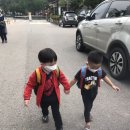 나무와열매어린이집 이미지