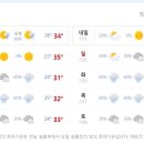 미스터강카워시
