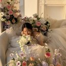 솔레유 | 르솔레유 조화 플라워디렉팅 웨딩촬영 선택이 아닌 필수 준비물 센터피스 대여 후기