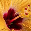 두영골프 이미지