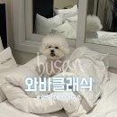 와바클래식 네이버블로그