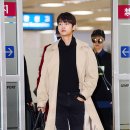 엔 티브이데일리