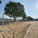 교룡초등학교 이미지