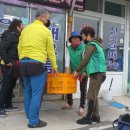 월호동주민센터 이미지