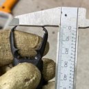 임실사슴농장 이미지