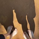 성주사 회귀형 숲길 | 창원 산책코스 추천 맨발걷기 성주사 황토곰숲길 다녀온후기