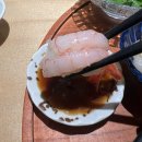 더품격 | 송도 맛집 추천, 라이브 스시의 품격을 느낀 스시도쿠 더 송도 명품 스시 특정식 후기!