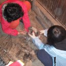 동궁장여관 이미지