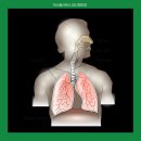 엘리나 필라테스 이미지