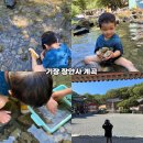 그늘막108 | 부산 계곡 기장 장안사 계곡 후기 부산 여름 아기랑 놀거리 데이트 장소 추천