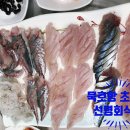 선명회센타 이미지