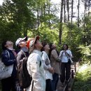 잣향기푸른마을 이미지