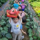 성지 어린이집 이미지