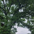 선암서원 주차장 이미지