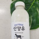 임실 산양유