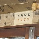 오줌장군 Daum카페