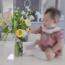 코코스플라워 | 집에서 하는 셀프 돌잔치 야외 생화 파티 행사 상차림 - 파피오플라워 후기