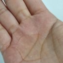 모닝듀 | 탬버린즈 샤워리 바디워시 얼리모닝듀 솔직후기｜향·장점·선물 추천까지