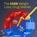 한 차트로 보는 580억 달러 규모의 체중 감량 약물 시장 이미지