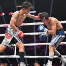 언더카드 이미지