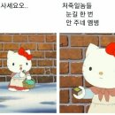 (주)밀로투어 이미지