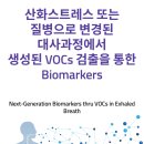 씨디글로벌