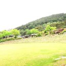 김선복 충신각 이미지