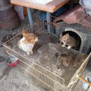 이서우체국 이미지