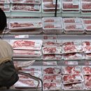 피드앤푸드 이미지