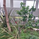 수인로1 | 수원 국립농업박물관 후기. 식물원 곤충관 어린이박물관 아이랑 가볼 만한 곳