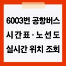 버스정류소_한국가스기술공사 | 6003번 공항버스 시간표 실시간 위치 조회 방법 및 예매방법 안내