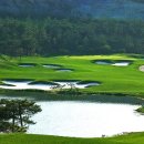 엘리체컨트리클럽 이미지