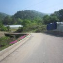 응봉산농장 이미지