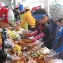 송지초등학교 Daum카페