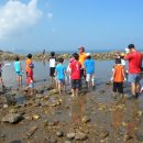 꾸지나무골해수욕장 이미지