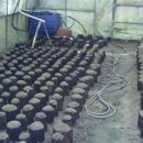 계숙농장 이미지