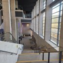 개꿈꾸는 고양이 | 5만원이라니 럭키잖아🍀 :: 비틀쥬스 로터리티켓 | LG아트센터 2층