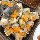 회나라무침나라 | 서울 송파 가락시장 꽃게회 맛집 물회 바다나라 가락시장 가락몰 내돈내산 후기