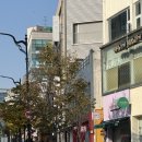 빨강머리앤피어싱