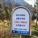 나리 신령수 이미지