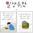 상두 이미지