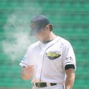 로진 이미지