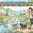 맑은계곡 티스토리