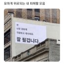 힘찬기합소리 | 백구에서 누렁이