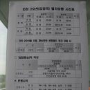 스피로스페로 | 홍대타투잘하는곳, 홍대챔피언타투샵 타투후기!!!!