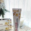 비머스 이미지