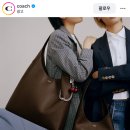 (유)에이스주방 | [6월] 에이스 침대 루체3+벨라3 매트리스 후기, 로보락 로봇청소기 S9, 아이폰 16pro(보상판매), 태안...