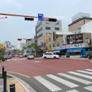 장다리로 이미지