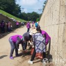 본오로1길 이미지