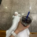 바이스앤대구칠곡 | [칠곡꿀맥/왜관꿀맥축제] 2026 칠곡 꿀맥 페스티벌 후기